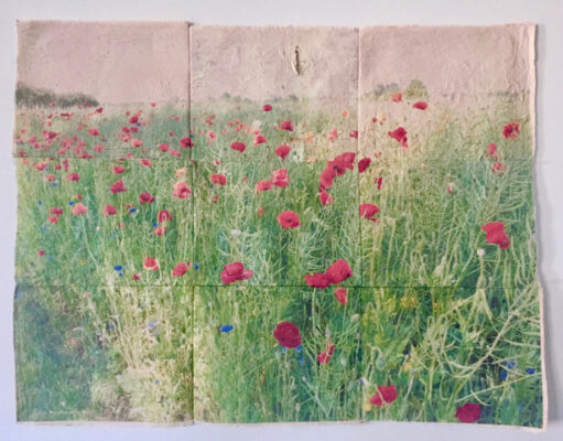 Artwork made up of 9 panels. Overall image is a field of poppies