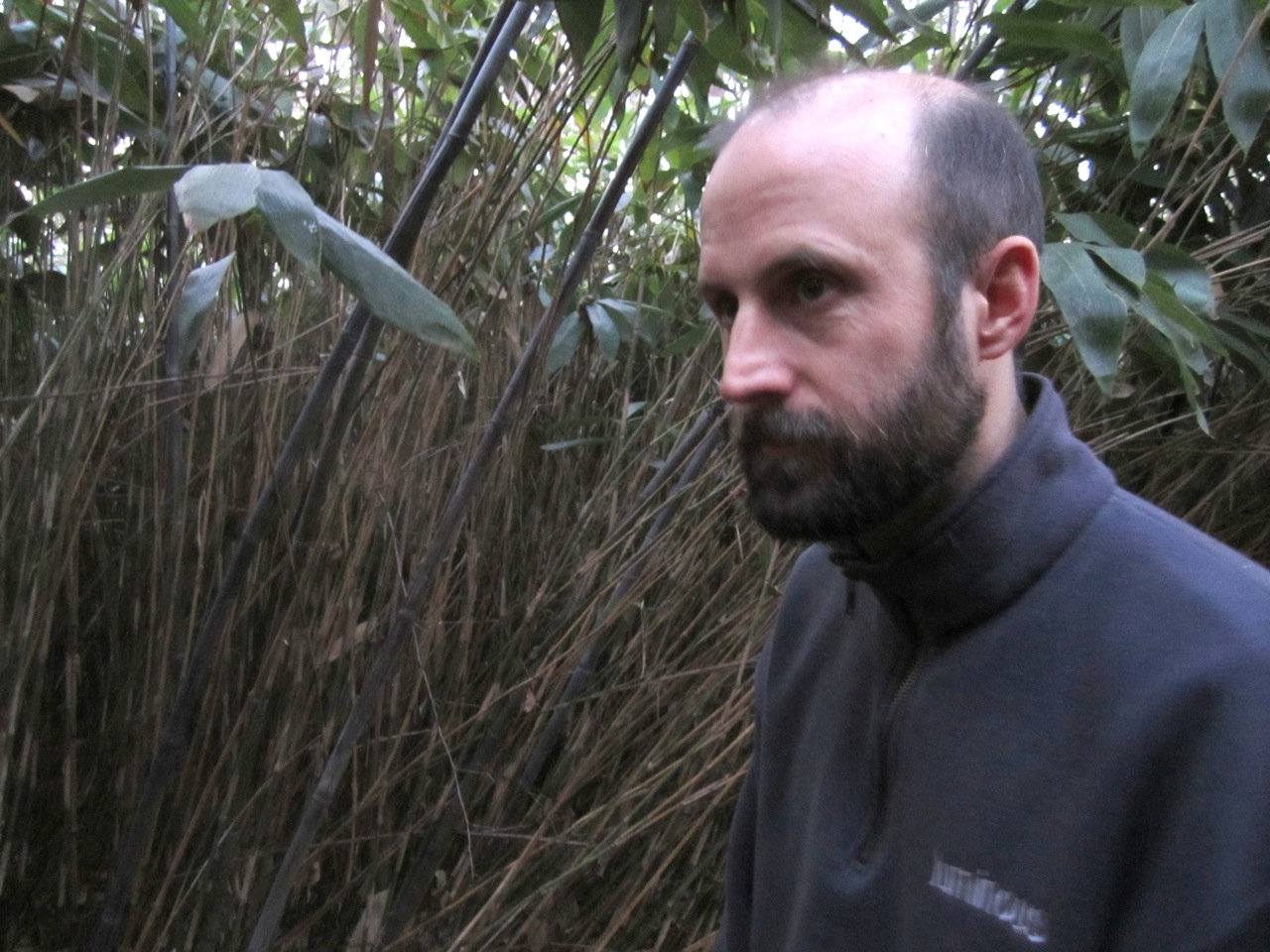 Closeup of a man standing in front of a bamboo patch